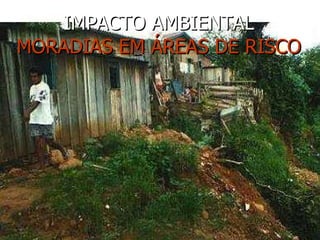 IMPACTO AMBIENTAL MORADIAS EM ÁREAS DE RISCO 
