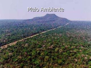 Meio Ambiente 