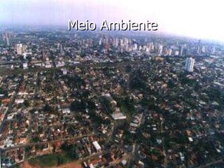 Meio Ambiente 
