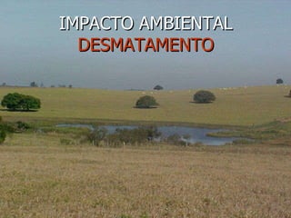 IMPACTO AMBIENTAL DESMATAMENTO 