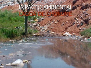 IMPACTO AMBIENTAL LAGOA DE CHORUME 