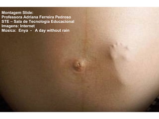 Montagem Slide: Professora Adriana Ferreira Pedroso STE – Sala de Tecnologia Educacional Imagens: Internet Música:  Enya  -  A day without rain 