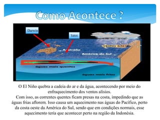 O El Niño quebra a cadeia do ar e da água, acontecendo por meio do
enfraquecimento dos ventos alísios.
Com isso, as correntes quentes ficam presas na costa, impedindo que as
águas frias aflorem. Isso causa um aquecimento nas águas do Pacífico, perto
da costa oeste da América do Sul, sendo que em condições normais, esse
aquecimento teria que acontecer perto na região da Indonésia.
Tahiti
Darwin
 