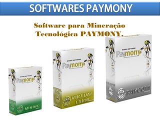 Software para Mineração
Tecnológica PAYMONY.
 