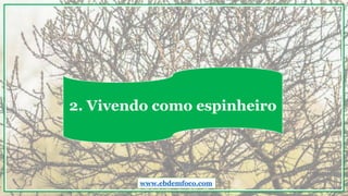 2. Vivendo como espinheiro
www.ebdemfoco.com
 