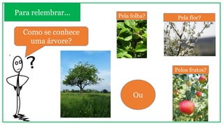 Para relembrar...
Como se conhece
uma árvore?
Pela folha? Pela flor?
Ou
Pelos frutos?
 