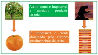 Assim como é impossível
a macieira produzir
laranja.
É impossível o crente
dominado pelo Espírito
produzir obras da carne.
 