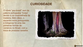 O nome “pau-brasil” vem da
palavra portuguesa “brasa”
devido à cor avermelhada da
madeira. Além disso, o
escambo entre portugueses
e indígenas foi uma das
primeiras formas de
comércio no Brasil, com a
troca de produtos variados.
CURIOSIDADE
 