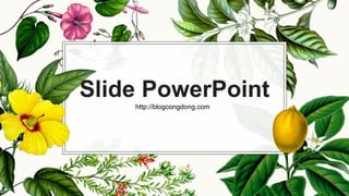 Slide PowerPoint
http://blogcongdong.com
 