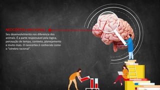 NEOCÓRTEX (RACIONAL)
Seu desenvolvimento nos diferencia dos
animais. É a parte responsável pela lógica,
percepção de tempo, contexto, planejamento
e muito mais. O neocortex é conhecido como
o “cérebro racional”.
 