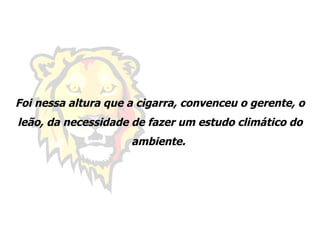 Foi nessa altura que a cigarra, convenceu o gerente, o leão, da necessidade de fazer um estudo climático do ambiente.  