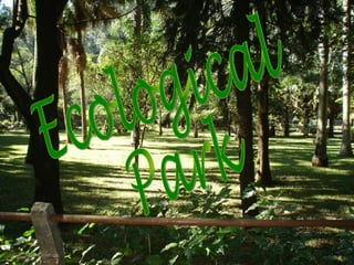 Ecological  Park 