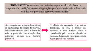 11
“DOMÉSTICO é o animal que, criado e reproduzido pelo homem,
perpetua tais condições através de gerações por hereditariedade, oferecendo
utilidades e prestando serviços em mansidão.”
A exploração dos animais domésticos
já existia antes da criação da palavra,
inicialmente tratada como a forma de
criar a partir da domesticação dos
primeiros animais pelo homem
primitivo.
O objeto da zootecnia é o animal
doméstico, ou seja, o animal que
pertence a uma espécie criada e
reproduzida pelo homem, dotada de
mansidão hereditária e que proporciona
algum proveito ao homem.
 