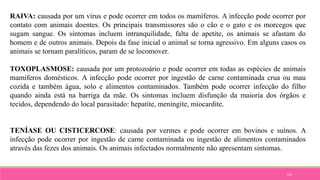 110
RAIVA: causada por um vírus e pode ocorrer em todos os mamíferos. A infecção pode ocorrer por
contato com animais doentes. Os principais transmissores são o cão e o gato e os morcegos que
sugam sangue. Os sintomas incluem intranquilidade, falta de apetite, os animais se afastam do
homem e de outros animais. Depois da fase inicial o animal se torna agressivo. Em alguns casos os
animais se tornam paralíticos, param de se locomover.
TOXOPLASMOSE: causada por um protozoário e pode ocorrer em todas as espécies de animais
mamíferos domésticos. A infecção pode ocorrer por ingestão de carne contaminada crua ou mau
cozida e também água, solo e alimentos contaminados. Também pode ocorrer infecção do filho
quando ainda está na barriga da mãe. Os sintomas incluem disfunção da maioria dos órgãos e
tecidos, dependendo do local parasitado: hepatite, meningite, miocardite.
TENÍASE OU CISTICERCOSE: causada por vermes e pode ocorrer em bovinos e suínos. A
infecção pode ocorrer por ingestão de carne contaminada ou ingestão de alimentos contaminados
através das fezes dos animais. Os animais infectados normalmente não apresentam sintomas.
 