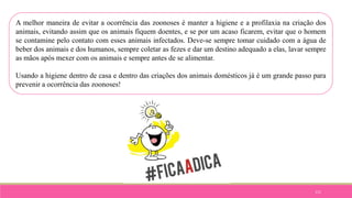 111
A melhor maneira de evitar a ocorrência das zoonoses é manter a higiene e a profilaxia na criação dos
animais, evitando assim que os animais fiquem doentes, e se por um acaso ficarem, evitar que o homem
se contamine pelo contato com esses animais infectados. Deve-se sempre tomar cuidado com a água de
beber dos animais e dos humanos, sempre coletar as fezes e dar um destino adequado a elas, lavar sempre
as mãos após mexer com os animais e sempre antes de se alimentar.
Usando a higiene dentro de casa e dentro das criações dos animais domésticos já é um grande passo para
prevenir a ocorrência das zoonoses!
 
