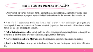 13
Observaram-se vários motivos para a domesticação dos animais, além do evidente inter-
relacionamento, a própria necessidade de sobrevivência do homem, destacando-se:
 Alimentação: necessidade de uso dos animais como alimento, tendo uma reserva principalmente
para os períodos de escassez – seca, falta de alimento (o parto de fêmeas em cativeiro foi um avanço,
para o uso do leite animal pelo homem).
 Sobrevivência Ambiental: o uso de peles ou pêlos como agasalhos para enfrentar as intempéries
climáticas e também como artefatos: sandálias, capas, tapetes e tecidos;
 Aproveitamento da Força Motriz: o uso dos animais no transporte de cargas, montarias;
 Inspiração Religiosa: presença do animal como fonte de motivação para a caça, ritos religiosos
etc.
MOTIVOS DA DOMESTICAÇÃO
 