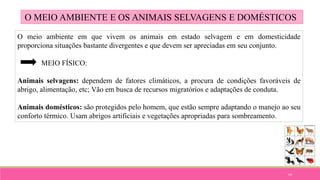 14
O meio ambiente em que vivem os animais em estado selvagem e em domesticidade
proporciona situações bastante divergentes e que devem ser apreciadas em seu conjunto.
MEIO FÍSICO:
Animais selvagens: dependem de fatores climáticos, a procura de condições favoráveis de
abrigo, alimentação, etc; Vão em busca de recursos migratórios e adaptações de conduta.
Animais domésticos: são protegidos pelo homem, que estão sempre adaptando o manejo ao seu
conforto térmico. Usam abrigos artificiais e vegetações apropriadas para sombreamento.
O MEIO AMBIENTE E OS ANIMAIS SELVAGENS E DOMÉSTICOS
 