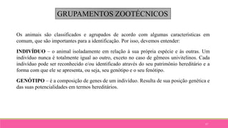 17
GRUPAMENTOS ZOOTÉCNICOS
Os animais são classificados e agrupados de acordo com algumas características em
comum, que são importantes para a identificação. Por isso, devemos entender:
INDIVÍDUO – o animal isoladamente em relação à sua própria espécie e às outras. Um
indivíduo nunca é totalmente igual ao outro, exceto no caso de gêmeos univitelinos. Cada
indivíduo pode ser reconhecido e/ou identificado através do seu patrimônio hereditário e a
forma com que ele se apresenta, ou seja, seu genótipo e o seu fenótipo.
GENÓTIPO – é a composição de genes de um indivíduo. Resulta de sua posição genética e
das suas potencialidades em termos hereditários.
 