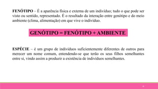 18
FENÓTIPO – É a aparência física e externa de um indivíduo; tudo o que pode ser
visto ou sentido, representado. É o resultado da interação entre genótipo e do meio
ambiente (clima, alimentação) em que vive o indivíduo.
ESPÉCIE – é um grupo de indivíduos suficientemente diferentes de outros para
merecer um nome comum, entendendo-se que terão os seus filhos semelhantes
entre si, vindo assim a produzir a existência de indivíduos semelhantes.
GENÓTIPO = FENÓTIPO + AMBIENTE
 