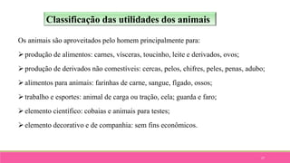 27
Os animais são aproveitados pelo homem principalmente para:
produção de alimentos: carnes, vísceras, toucinho, leite e derivados, ovos;
produção de derivados não comestíveis: cercas, pelos, chifres, peles, penas, adubo;
alimentos para animais: farinhas de carne, sangue, fígado, ossos;
trabalho e esportes: animal de carga ou tração, cela; guarda e faro;
elemento científico: cobaias e animais para testes;
elemento decorativo e de companhia: sem fins econômicos.
Classificação das utilidades dos animais
 