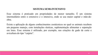 30
SISTEMA SEMI-INTENSIVO
Esse sistema é praticado em propriedades de menor tamanho. É um sistema
intermediário entre o extensivo e o intensivo, onde se usa maior capital e mão-de-
obra.
Existe a aplicação de alguns conhecimentos zootécnicos no qual os animais recebem
um pequeno manejo, com instalações rústicas, suplementação alimentar e separação
em lotes. Esse sistema é utilizado, por exemplo, nas criações de gado de corte e
avicultura do tipo “caipira”.
 