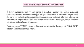 44
ANATOMIA DOS ANIMAIS DOMÉSTICOS
O termo Anatomia tem origem grega e significa separar em partes (dissecar).
Constitui-se como o ramo da biologia no qual se estudam a estrutura e organização
dos seres vivos, tanto externa quanto internamente. A anatomia lida com a forma e a
estrutura dos organismos e está em íntima relação com a fisiologia, que é a ciência
que estuda as funções do organismo.
Portanto, a ANATOMIA estuda as formas e a constituição do corpo e a FISIOLOGIA
estuda o funcionamento do corpo.
 