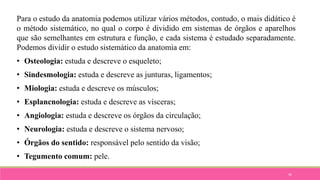 45
Para o estudo da anatomia podemos utilizar vários métodos, contudo, o mais didático é
o método sistemático, no qual o corpo é dividido em sistemas de órgãos e aparelhos
que são semelhantes em estrutura e função, e cada sistema é estudado separadamente.
Podemos dividir o estudo sistemático da anatomia em:
• Osteologia: estuda e descreve o esqueleto;
• Sindesmologia: estuda e descreve as junturas, ligamentos;
• Miologia: estuda e descreve os músculos;
• Esplancnologia: estuda e descreve as vísceras;
• Angiologia: estuda e descreve os órgãos da circulação;
• Neurologia: estuda e descreve o sistema nervoso;
• Órgãos do sentido: responsável pelo sentido da visão;
• Tegumento comum: pele.
 