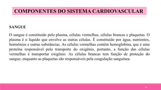 49
SANGUE
O sangue é constituído pelo plasma, células vermelhas, células brancas e plaquetas. O
plasma é o líquido que envolve as outras células. É constituído por água, nutrientes,
hormônios e outras substâncias. As células vermelhas contêm hemoglobina, que é uma
proteína responsável pelo transporte do oxigênio, portanto, a função das células
vermelhas é transportar oxigênio. As células brancas tem função de proteção do
sangue, enquanto as plaquetas são responsáveis pela coagulação sanguínea.
COMPONENTES DO SISTEMA CARDIOVASCULAR
 