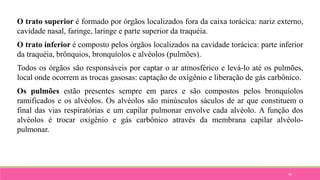55
O trato superior é formado por órgãos localizados fora da caixa torácica: nariz externo,
cavidade nasal, faringe, laringe e parte superior da traquéia.
O trato inferior é composto pelos órgãos localizados na cavidade torácica: parte inferior
da traquéia, brônquios, bronquíolos e alvéolos (pulmões).
Todos os órgãos são responsáveis por captar o ar atmosférico e levá-lo até os pulmões,
local onde ocorrem as trocas gasosas: captação de oxigênio e liberação de gás carbônico.
Os pulmões estão presentes sempre em pares e são compostos pelos bronquíolos
ramificados e os alvéolos. Os alvéolos são minúsculos sáculos de ar que constituem o
final das vias respiratórias e um capilar pulmonar envolve cada alvéolo. A função dos
alvéolos é trocar oxigênio e gás carbônico através da membrana capilar alvéolo-
pulmonar.
 