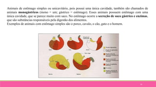 61
Animais de estômago simples ou unicavitário, pois possui uma única cavidade, também são chamados de
animais monogástricos (mono = um; gástrico = estômago). Esses animais possuem estômago com uma
única cavidade, que se parece muito com saco. No estômago ocorre a secreção de suco gástrico e enzimas,
que são substâncias responsáveis pela digestão dos alimentos.
Exemplos de animais com estômago simples são o porco, cavalo, o cão, gato e o homem.
 