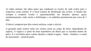 75
As tubas uterinas são tubos pares que conduzem os óvulos de cada ovário para o
respectivo corno uterino. É o local comum de fertilização dos óvulos. A função das
trompas é conduzir óvulos e espermatozóides em direções opostas, quase
simultaneamente, onde ocorre a fertilização, e os embriões permanecem por cerca de 3
dias.
O útero é composto por dois cornos uterinos, corpo e cérvice.
A gestação pode ocorrer tanto nos cornos como no corpo do útero, dependendo da
espécie. A vagina é a parte do trato reprodutivo da fêmea que se encontra dentro da
pelve. É o envoltório para o pênis durante a cópula (vagina – latim – bainha) e o canal
de nascimento – canal do parto.
 