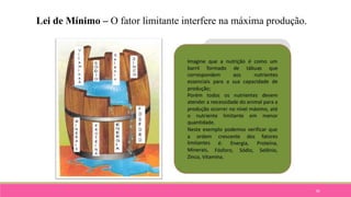 85
Lei de Mínimo – O fator limitante interfere na máxima produção.
 