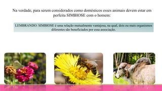 9
Na verdade, para serem considerados como domésticos esses animais devem estar em
perfeita SIMBIOSE com o homem:
LEMBRANDO: SIMBIOSE é uma relação mutualmente vantajosa, na qual, dois ou mais organismos
diferentes são beneficiados por essa associação.
 