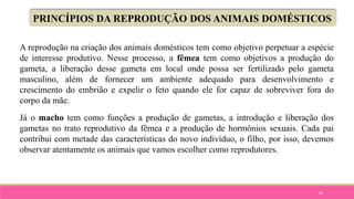 92
PRINCÍPIOS DA REPRODUÇÃO DOS ANIMAIS DOMÉSTICOS
A reprodução na criação dos animais domésticos tem como objetivo perpetuar a espécie
de interesse produtivo. Nesse processo, a fêmea tem como objetivos a produção do
gameta, a liberação desse gameta em local onde possa ser fertilizado pelo gameta
masculino, além de fornecer um ambiente adequado para desenvolvimento e
crescimento do embrião e expelir o feto quando ele for capaz de sobreviver fora do
corpo da mãe.
Já o macho tem como funções a produção de gametas, a introdução e liberação dos
gametas no trato reprodutivo da fêmea e a produção de hormônios sexuais. Cada pai
contribui com metade das características do novo indivíduo, o filho, por isso, devemos
observar atentamente os animais que vamos escolher como reprodutores.
 