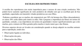 93
ESCOLHA DOS REPRODUTORES
A escolha dos reprodutores tem muita importância para o sucesso de uma criação zootécnica. Não
poderá haver aumento significante do valor produtivo do rebanho sem que se escolham pais de boa
qualidade, capacitados em transmitir virtudes produtivas aos seus filhos.
Podemos considerar que os machos são responsáveis por 50% da herança dos filhos (descendentes);
os outros 50% serão dados pela matriz (a mãe). Não é pequena a importância da fêmea em termos de
qualidade, contudo, a sua importância em termos de quantidade é menor significativamente que a dos
machos, pois o número de filhos gerados pelos machos é muito maior que o das fêmeas.
Diversos aspectos devem ser levados em consideração quando se deseja adquirir ou escolher animais
para a reprodução, sendo eles:
• Observações ligadas ao indivíduo;
• Observações dos pais;
• Observações dos filhos.
 