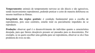 95
Temperamento: animais de temperamento nervoso ao são dóceis e são agressivos,
sendo inconvenientes reprodutores, podendo praticar o coito de maneira defeituosa ou
mesmo inutilizar as fêmeas.
Integridade dos órgãos genitais: é condição fundamental para a escolha de
reprodutores, pois caso contrário, estarão total ou parcialmente impedidos de se
reproduzir.
Produção: observar qual é o desenvolvimento do indivíduo quanto a característica
desejada, para que fatores desejáveis possam ser passados para os descententes. Por
exemplo, se eu quero escolher uma galinha para ser reprodutora, observar se ela é boa
produtora de ovos ou não.
 