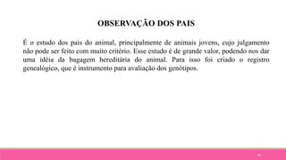 96
OBSERVAÇÃO DOS PAIS
É o estudo dos pais do animal, principalmente de animais jovens, cujo julgamento
não pode ser feito com muito critério. Esse estudo é de grande valor, podendo nos dar
uma idéia da bagagem hereditária do animal. Para isso foi criado o registro
genealógico, que é instrumento para avaliação dos genótipos.
 