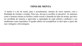 98
TIPOS DE MONTA
A monta é o ato de reunir, para o acasalamento, animais de sexos opostos, com a
finalidade de orientar a criação. Para isso, devem-se escolher os parceiros. As maneiras
como o homem orienta ou facilita a união sexual é chamada de tipos de monta, que deve
ser escolhida de maneira a aproveitar a capacidade de cada animal e melhorar o seu
rendimento como reprodutor. O quadro abaixo irá exemplificar os dois tipos e quais são
suas vantagens e desvantagens.
 
