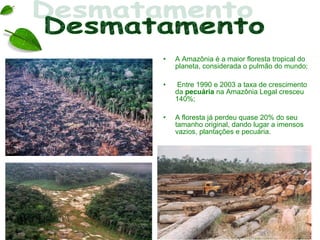 •   A Amazônia é a maior floresta tropical do
    planeta, considerada o pulmão do mundo;

•   Entre 1990 e 2003 a taxa de crescimento
    da pecuária na Amazônia Legal cresceu
    140%;

•   A floresta já perdeu quase 20% do seu
    tamanho original, dando lugar a imensos
    vazios, plantações e pecuária.
 