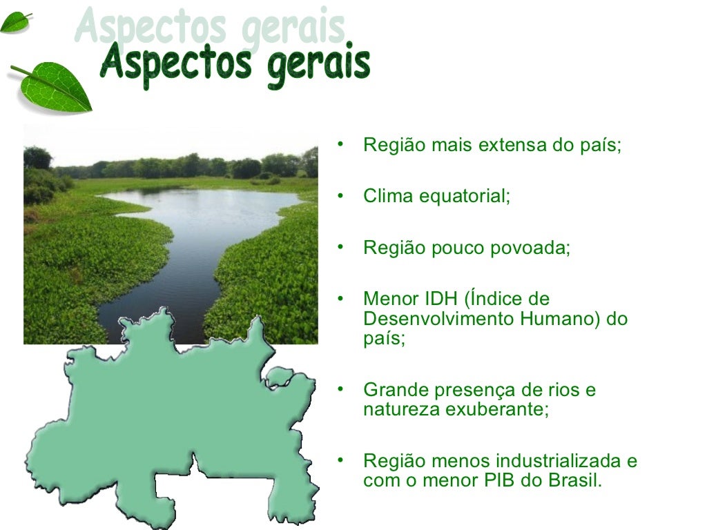 Curiosidade Da Regiao Norte - BRAINCP