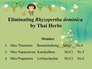 Eliminating  Rhyzopertha dominica   by Thai Herbs ,[object Object],[object Object],[object Object],[object Object]