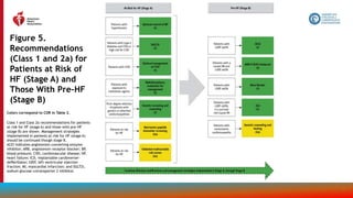 50
Figure 5.
Recommendations
(Class 1 and 2a) for
Patients at Risk of
HF (Stage A) and
Those With Pre-HF
(Stage B)
Colors correspond to COR in Table 2.
Class 1 and Class 2a recommendations for patients
at risk for HF (stage A) and those with pre-HF
(stage B) are shown. Management strategies
implemented in patients at risk for HF (stage A)
should be continued though stage B.
ACEi indicates angiotensin-converting enzyme
inhibitor; ARB, angiotensin receptor blocker; BP,
blood pressure; CVD, cardiovascular disease; HF,
heart failure; ICD, implantable cardioverter-
deﬁbrillator; LVEF, left ventricular ejection
fraction; MI, myocardial infarction; and SGLT2i,
sodium glucose cotransporter 2 inhibitor.
 