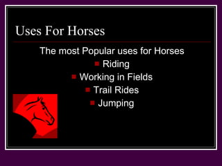 Uses For Horses The most Popular uses for Horses Riding Working in Fields Trail Rides Jumping 