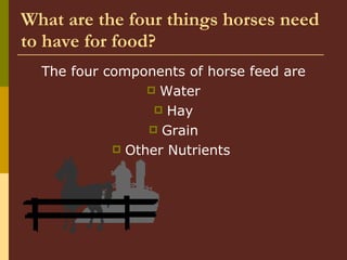 What are the four things horses need to have for food? The four components of horse feed are Water Hay Grain Other Nutrients  