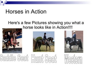 Horses in Action Here's a few Pictures showing you what a horse looks like in Action!!!! Saddle Seat Hunt Seat Western  