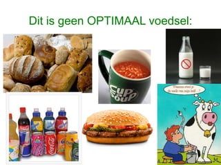 Dit is geen OPTIMAAL voedsel:
 