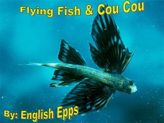Flying Fish & Cou Cou By: English Epps 