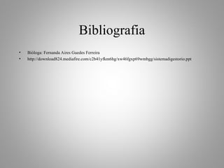 Bibliografia
• Bióloga: Fernanda Aires Guedes Ferreira
• http://download824.mediafire.com/c2b41yfkm6hg/xw46fgxp69wmbgg/sistemadigestorio.ppt
 