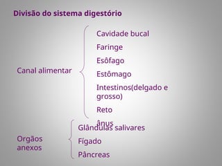 Divisão do sistema digestório
Canal alimentar
Orgãos
anexos
Cavidade bucal
Faringe
Esôfago
Estômago
Intestinos(delgado e
grosso)
Reto
ânus
Glândulas salivares
Fígado
Pâncreas
 
