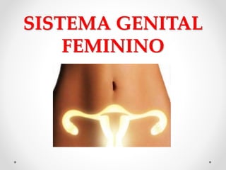 SISTEMA GENITAL
FEMININO
 